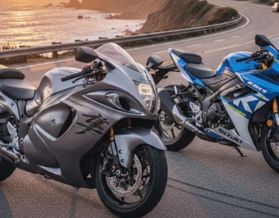 Suzuki GSX-8R and Hayabusa parked on an open highway